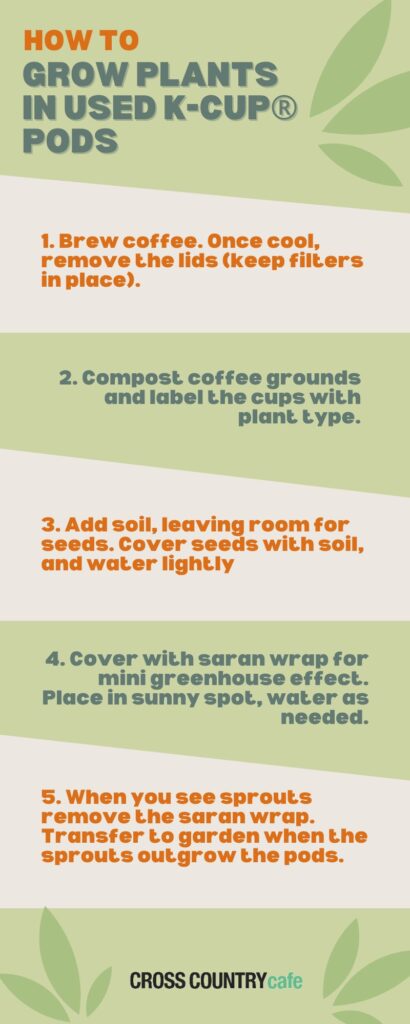 how to grow plants in kcup pods infographic